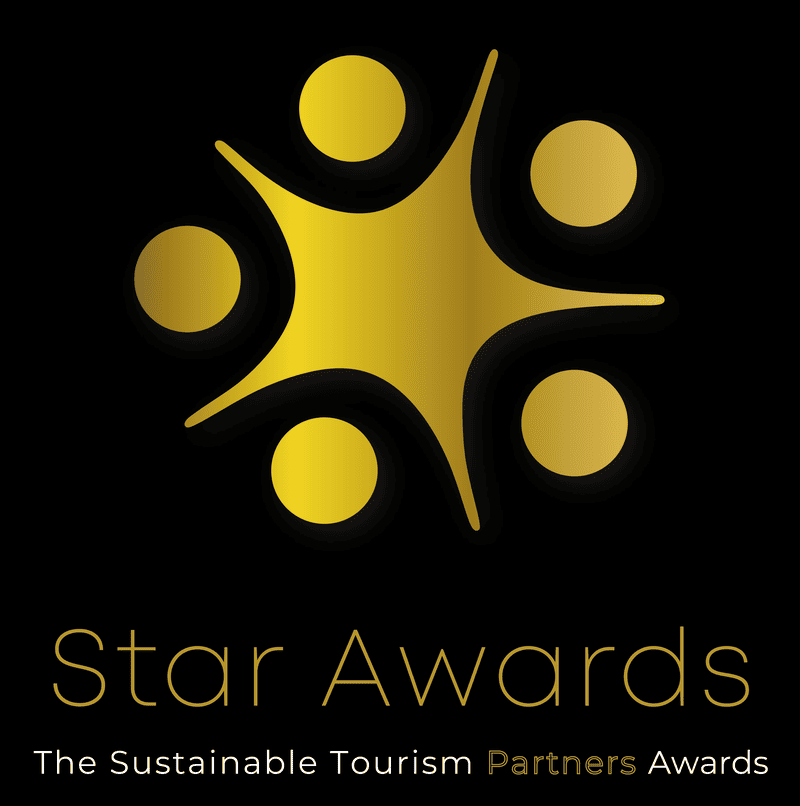 Star Awards Logo-descoberta